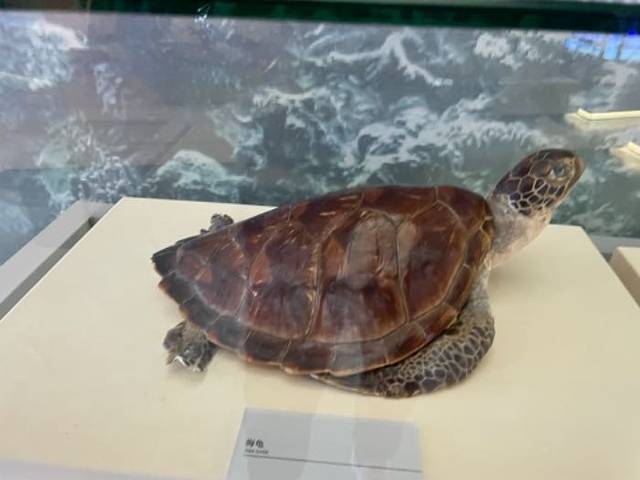 中国航海博物馆