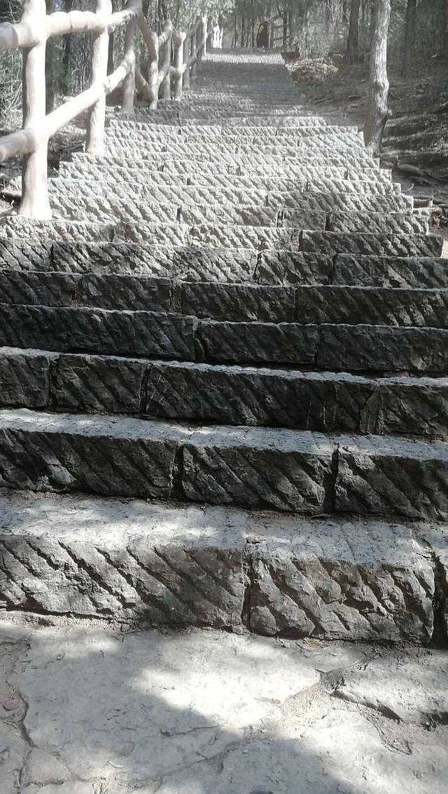 抱犊崮国家森林公园