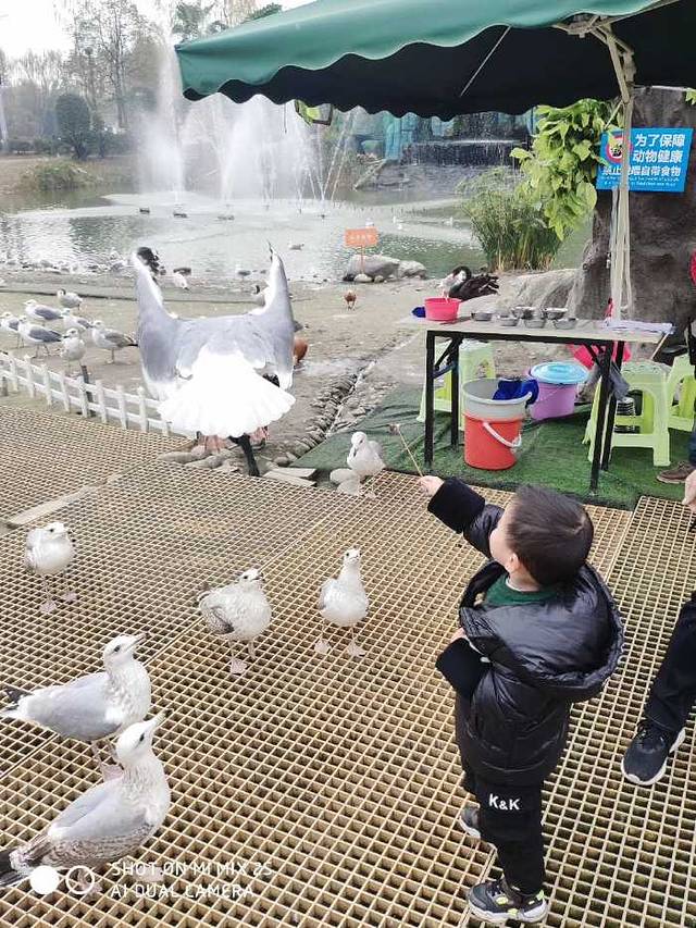七彩海巢狂欢动物城