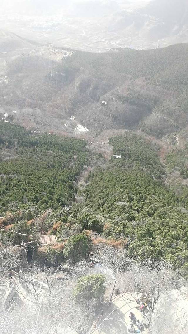 抱犊崮国家森林公园