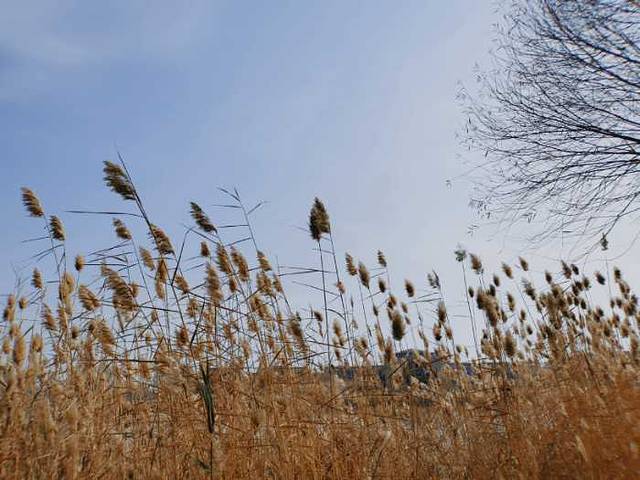 银川当代美术馆