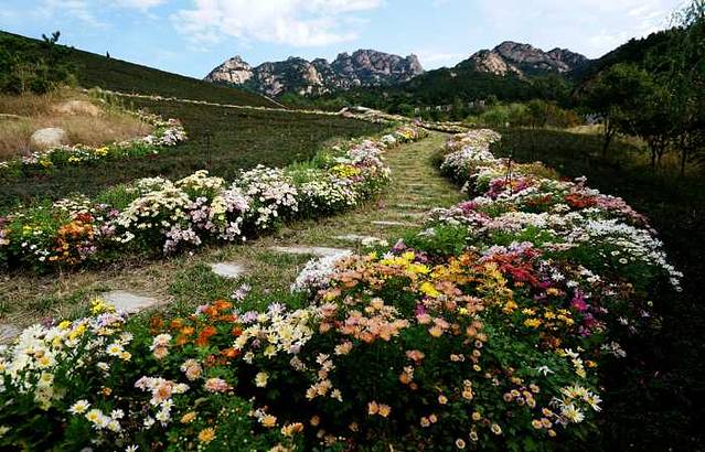 罗山国家森林公园