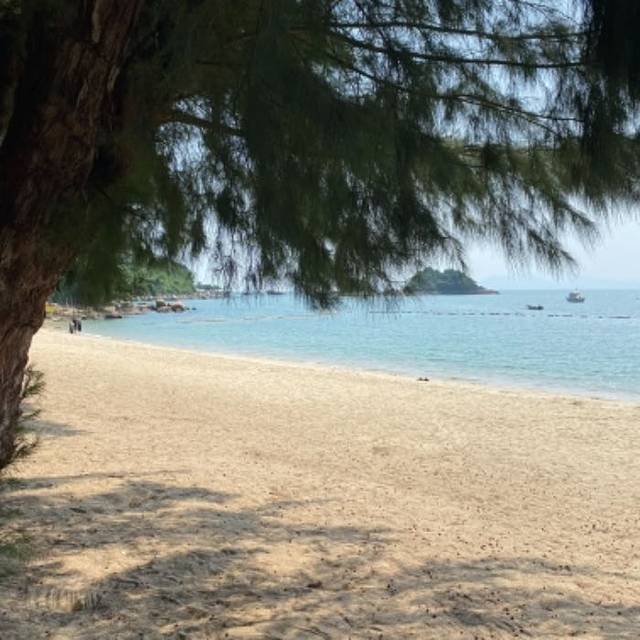 东冲西冲海岸线