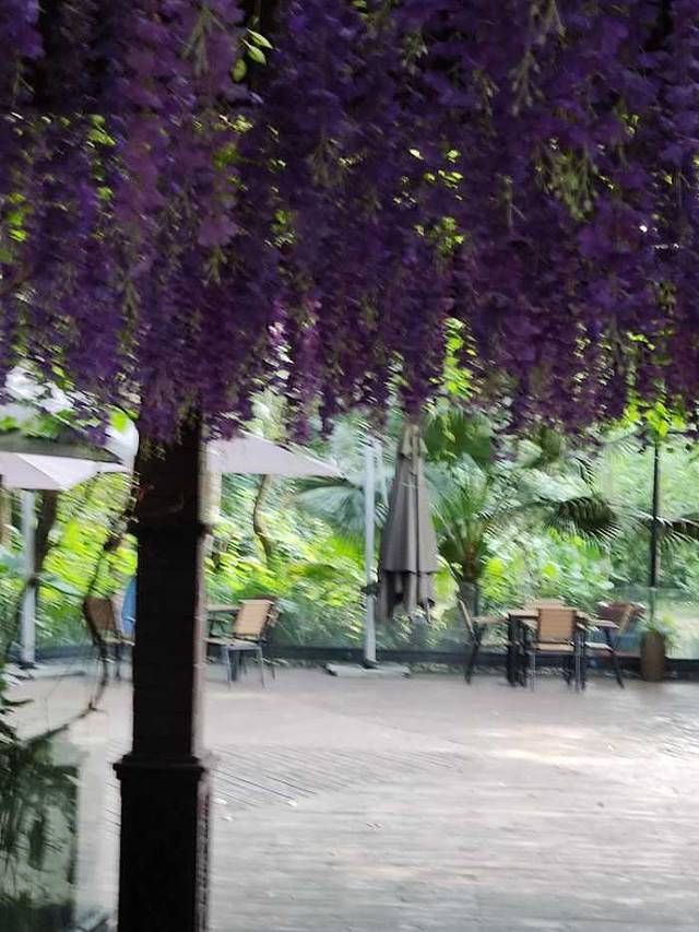 桂林市訾洲岛景区