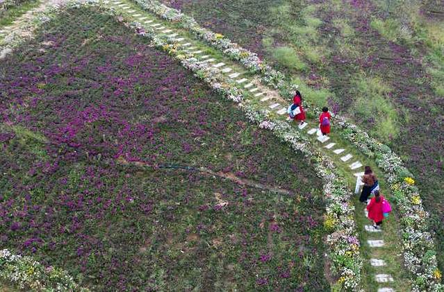 罗山国家森林公园