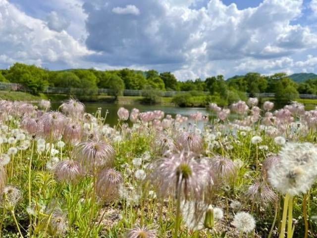 九峰山养心谷旅游度假区