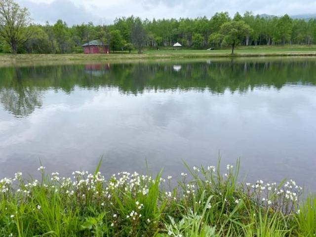 九峰山养心谷旅游度假区