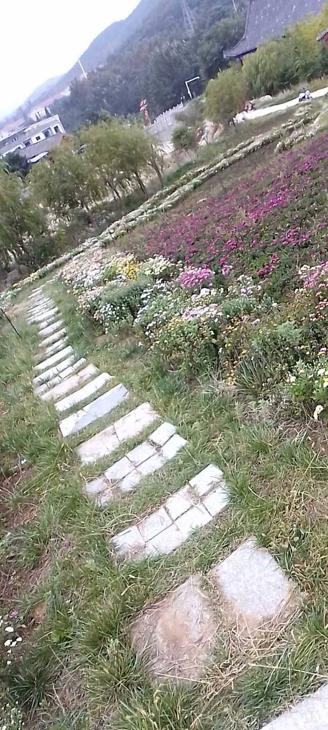 罗山国家森林公园