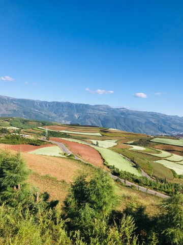 "_东川红土地"的评论图片