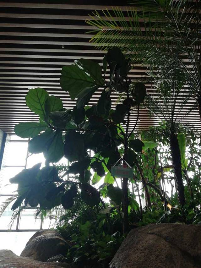 莫干山森泊幻想岛儿童乐园