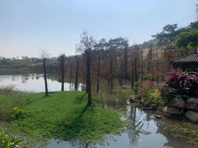 青岚怪臼谷国家地质公园