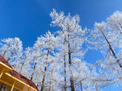 毕棚沟滑雪场旅游景点图片