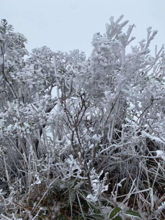 清远金子山原生态旅游风景区