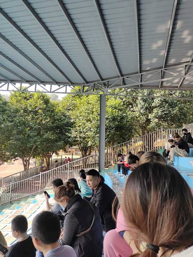 泉州海丝野生动物世界