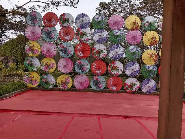 森波拉度假森林