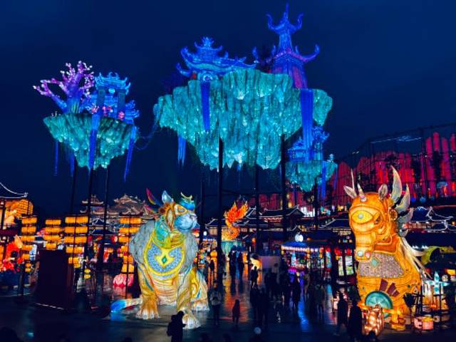 自贡·中华彩灯大世界