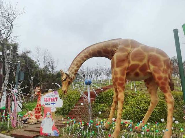 黄龙溪欢乐田园