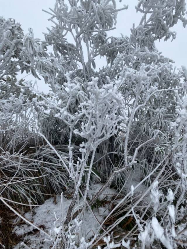 清远金子山原生态旅游风景区