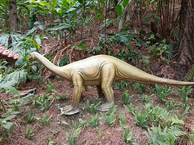 森波拉度假森林