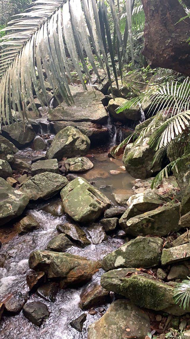 海南槟榔谷黎苗文化旅游区