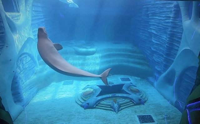 三亚亚特兰蒂斯失落的空间水族馆