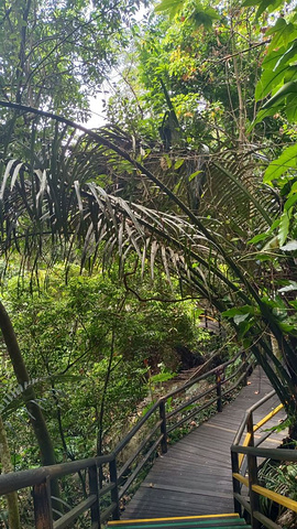 "景区的的工作人员态度很好。值得一游，植被好，是增长热带植物的大课堂，步行环游的难度指数不高_槟榔谷"的评论图片