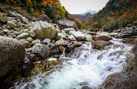 唐家河自然保護區旅遊景點攻略圖