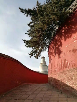 黛螺顶旅游景点攻略图