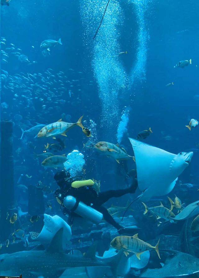 三亚亚特兰蒂斯失落的空间水族馆