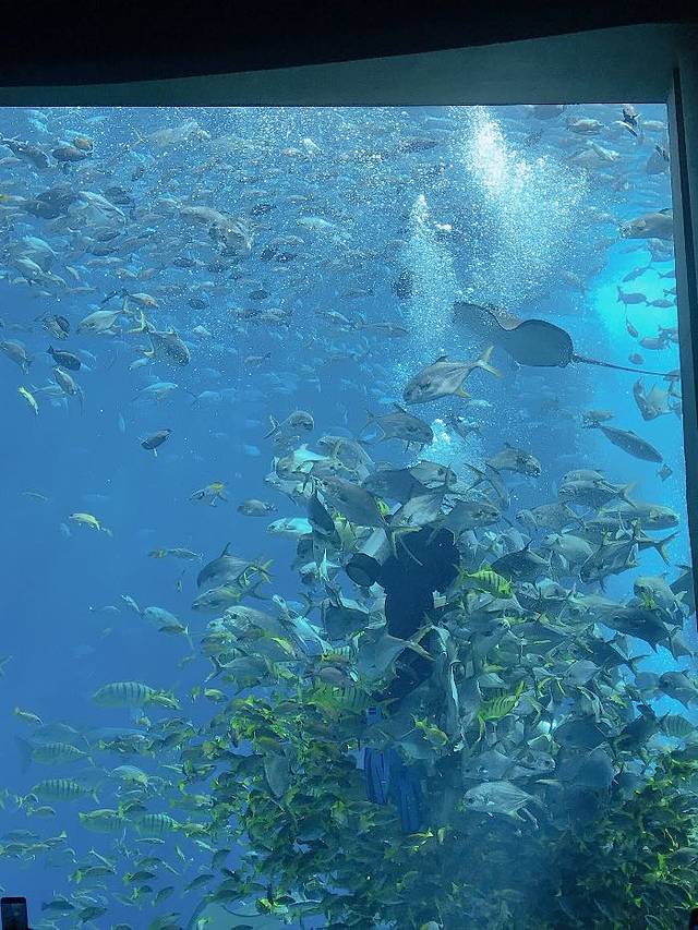 三亚亚特兰蒂斯度假区