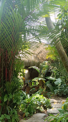 "景区的的工作人员态度很好。值得一游，植被好，是增长热带植物的大课堂，步行环游的难度指数不高_呀诺达雨林文化旅游区"的评论图片