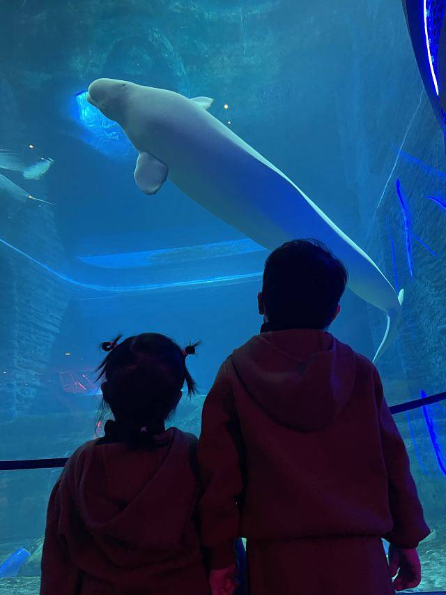 三亚亚特兰蒂斯失落的空间水族馆