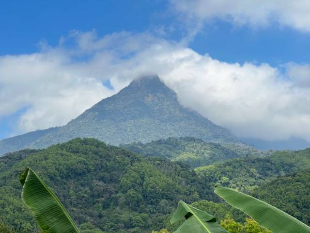 五指山水满河热带雨林风景区