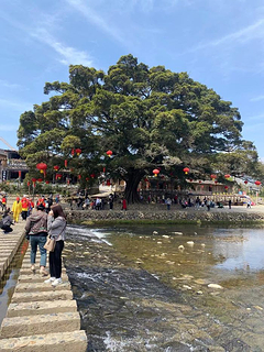 南靖土樓 田螺坑景區 雲水謠古鎮一日遊【頭等艙vip可